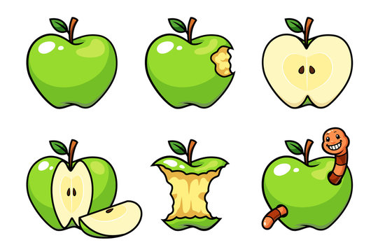 Green apple fruit vector
