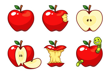 Apple fruit vector