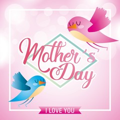 mothers day birds flying with spheres blurred background icon vector ilustration