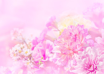 Fototapeta na wymiar Sweet color of beautiful flower for wedding background
