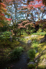 Pond in Japanese garden in the fall