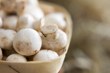 Concept of vegetarianism, and healthy eating - mushroom