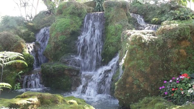 Beautiful waterfall in green garden, stock video
