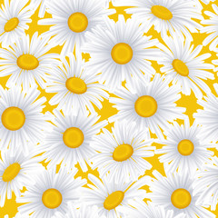 Seamless pattern with white daisies