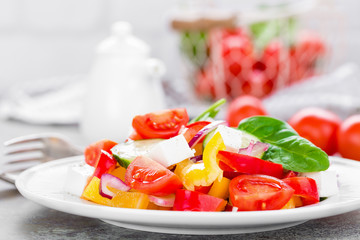 Tomato salad with fresh bell pepper, red onion and feta cheese. Healthy eating