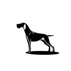 Black hunting dog with shadow