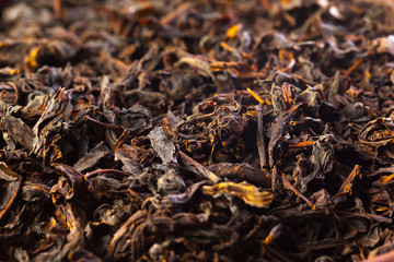 tea close up