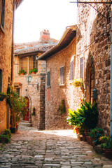 Fototapeta na wymiar Cute village streets in San Gimignano - Italy.