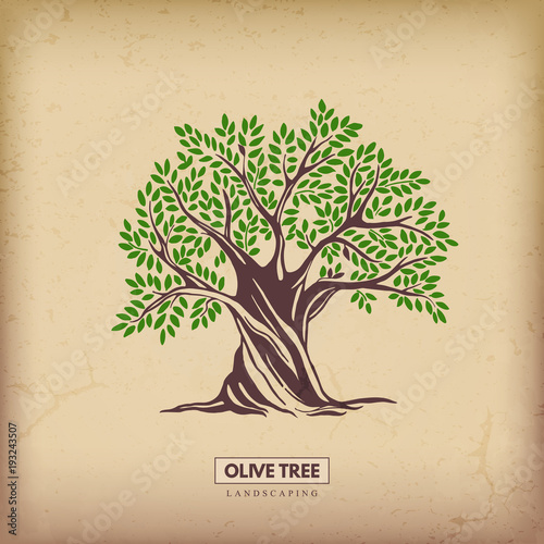 Download "Olive tree. Nature. Vector silhouette illustration ...