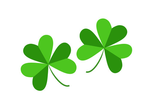 
Four leaf clover isolated on white, vector illustration for St. Patrick's day 