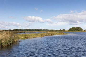 Nationalpark Vorpommersche Boddenlandschaft, Darsser Ort, Darss, Fischland-Darß-Zingst, Mecklenburg-Vorpommern, Deutschland, Europa