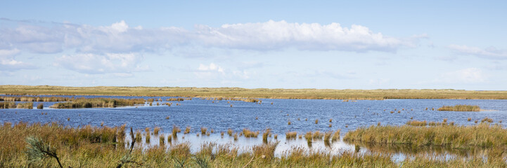 Nationalpark Vorpommersche Boddenlandschaft, Darss, Darsser Ort, Fischland-Darß-Zingst, Mecklenburg-Vorpommern, Deutschland, Europa