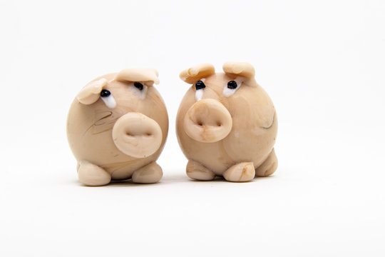 maialini - little pigs