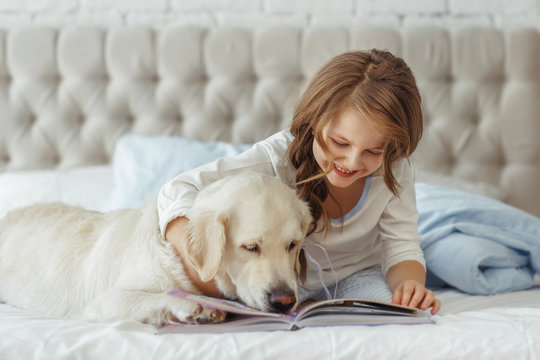 Beautiful little girl with golden retriever dog in a bed