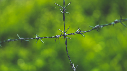 Barbed Wire Fence
