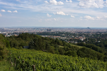 Fototapeta na wymiar Vienna as seen from Kahlenberg, Austria