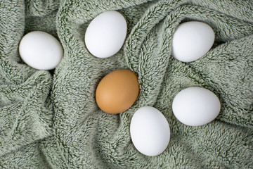 Chicken eggs of a gray tissue surface. One is brown, the others are white. Concept: not like everyone else.