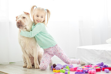 A preschooler hugs a big dog in the room.The concept of lifestyle, childhood, upbringing, family, pets.