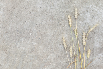 bunch of golden ears of wheat on concrete background. Flat lay