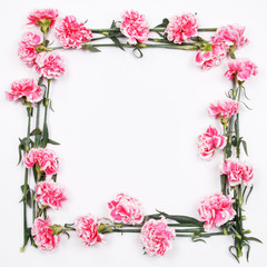 Frame made of pink carnation flowers on white background. Flat lay, top view. Carnation flower texture.