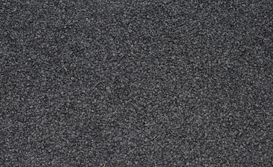 A layer of onion seeds as a background.