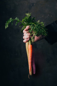 Hand holding a bunch of fresh, colorful carrots