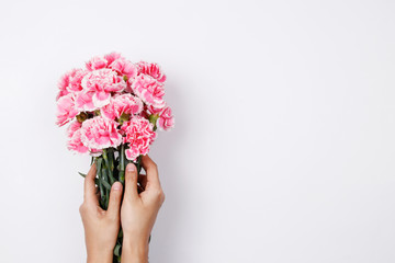 Woman hand hold pink carnation on white background. Flat lay, top view minimal festive spring flower background.