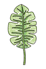 palm leaf ecology icon vector illustration design