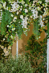 wedding flower decoration  . flower backdrop background. rose wall