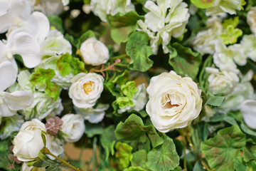 Obraz na płótnie Canvas wedding flower decoration . flower backdrop background. rose wall