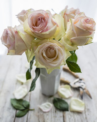 Cut roses on a vintage wooden background.
