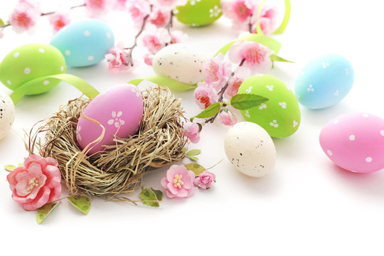easter eggs and flowers on white background