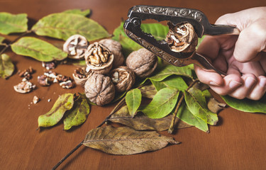 Chop walnut with special tongs