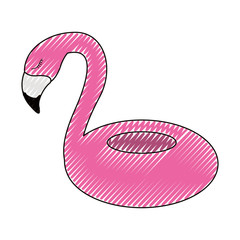 flemish tropical and exotic bird vector illustration design