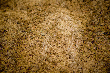 brown carpet.  brown  fabric texture background. closeup