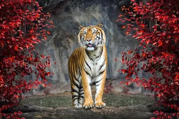 Zelfklevend Fotobehang Portret van de tijger. © MrPreecha