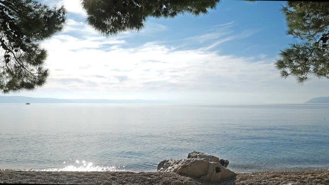 Landscape view of beach under pine trees and calm blue sea on sunny day on Croatian coast