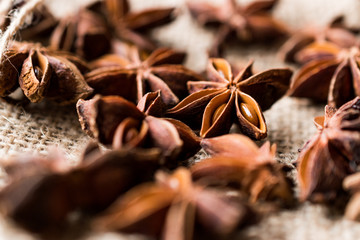 Star Anise Spice Fruits and Seeds on a Sack