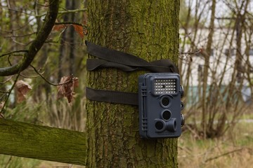 eine Wildkamera ist an einen Baum gebunden