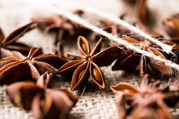 Star Anise Spice Fruits and Seeds on a Sack