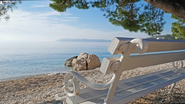 Empty wooden bench with scenic sea view on beach under pine tree on sunny day