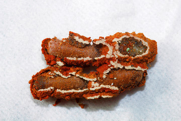 Wasp nest , Aarey Milk Colony , INDIA