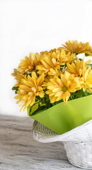 Floral composition with yellow daisies
