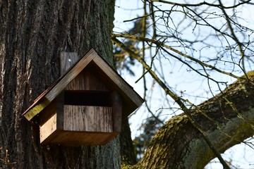 Nistkasten an einem Baum