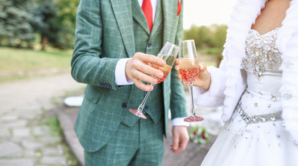 Bride and Groom toasting. Champagne glasses. Horizontal format. Close up picture.