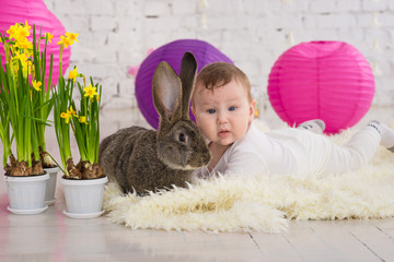little boy in rabbit costume lays in flowers and easter rabbit