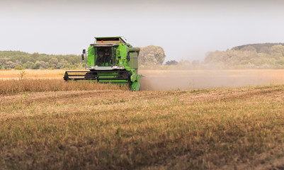 Obraz premium Harvesting of soybean field with combine