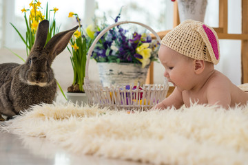 little boy in rabbit costume lays in flowers and easter rabbit