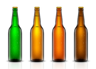 Beer bottle vector set.