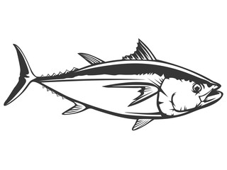 Tuna fish detailed isolated